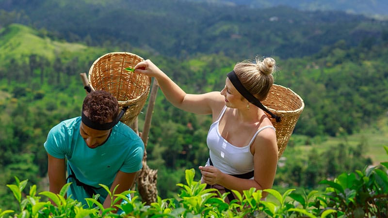 Tea Tourism in Sri Lanka